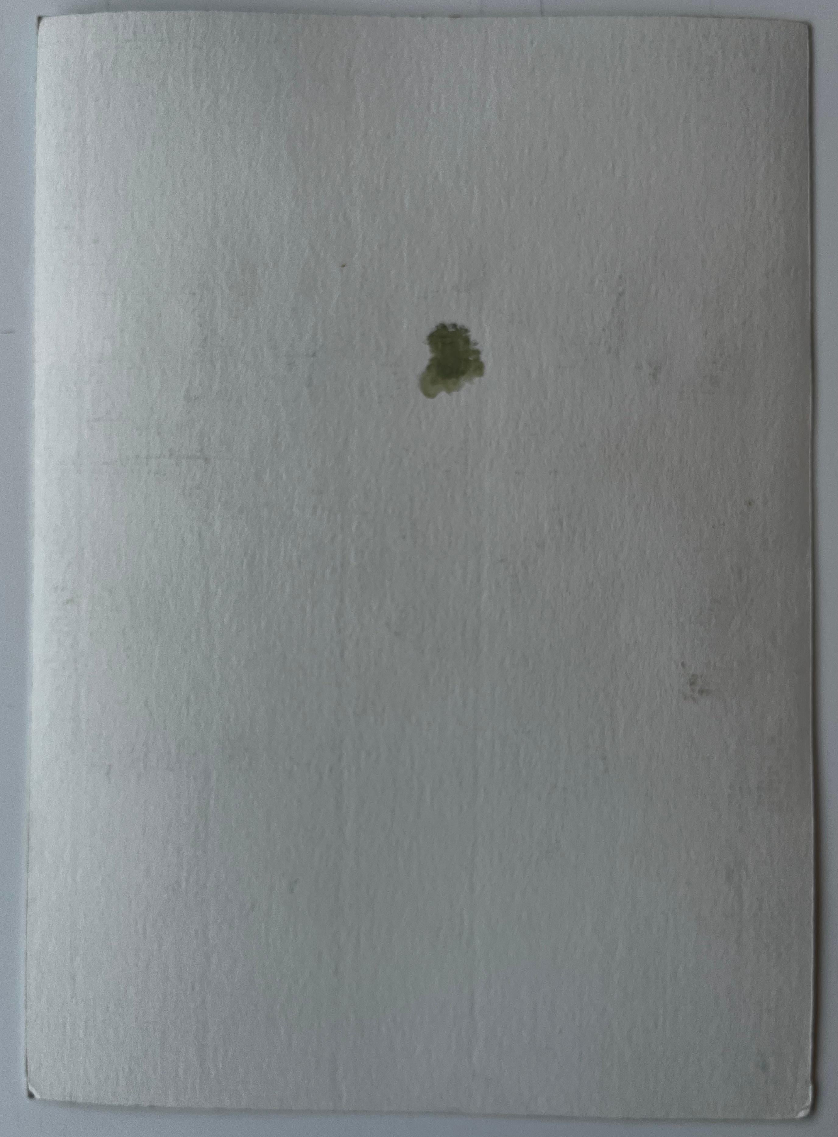 Bateaux du port et chalets blancs avec reflets d'arbres Aquarelle en vente 3