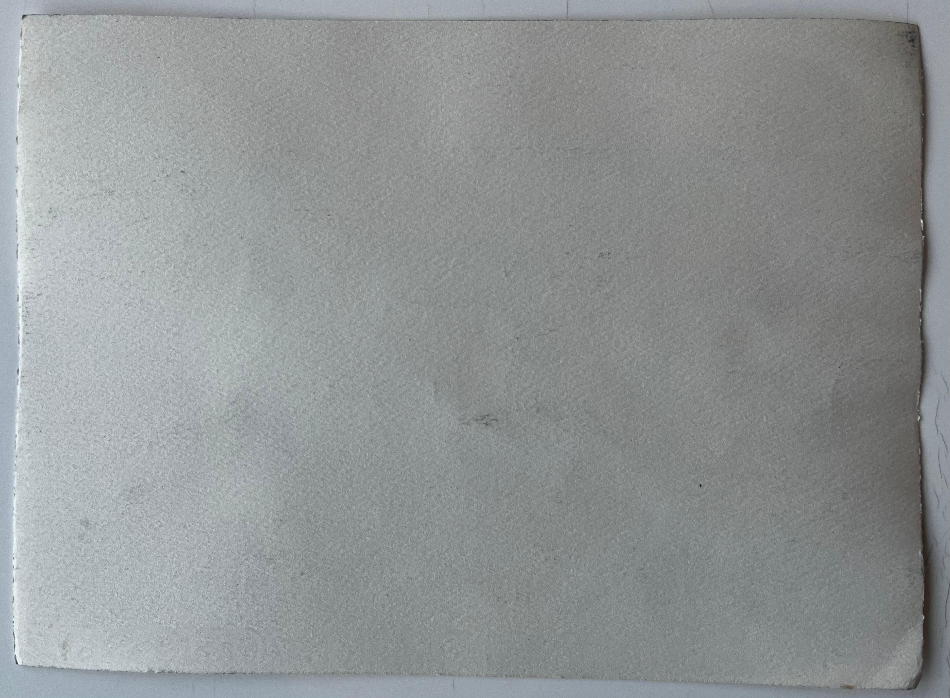 Sablet Provenza Vigneto Fattorie Alberi Hille Paesaggio francese Acquerello in vendita 3