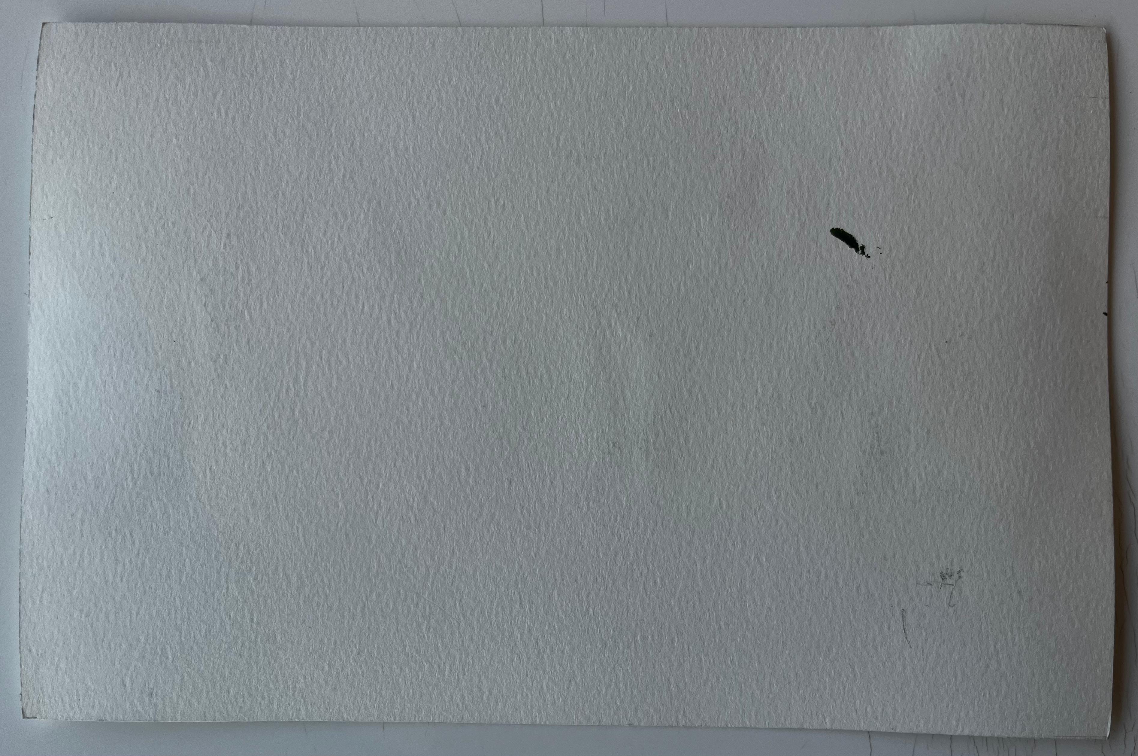 Fattoria provenzale con tetto in terracotta Alberi e luce estiva Studio ad acquerello in vendita 3