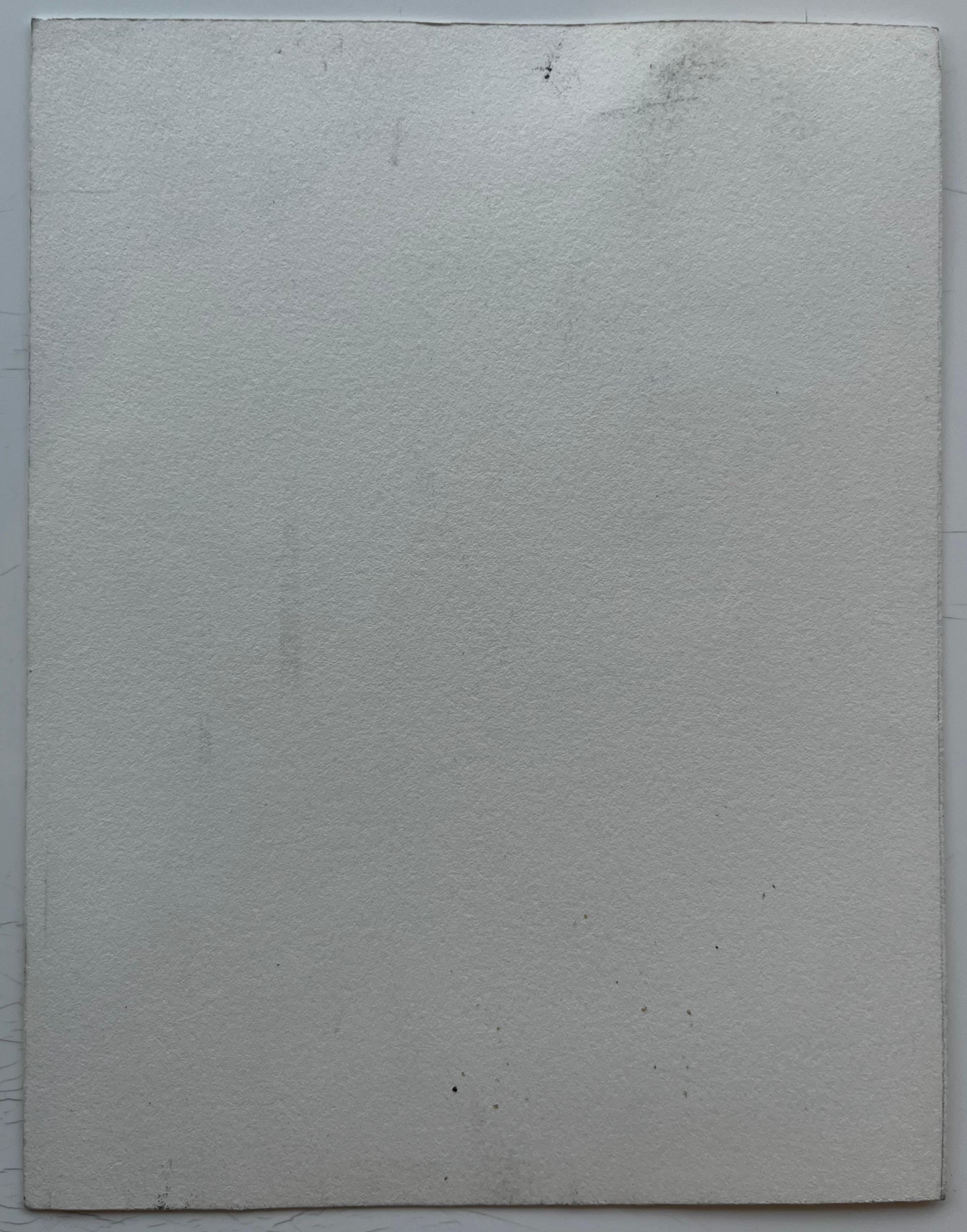 Paesaggio urbano invernale Case alberi e strada nebbiosa Acquerello in vendita 3