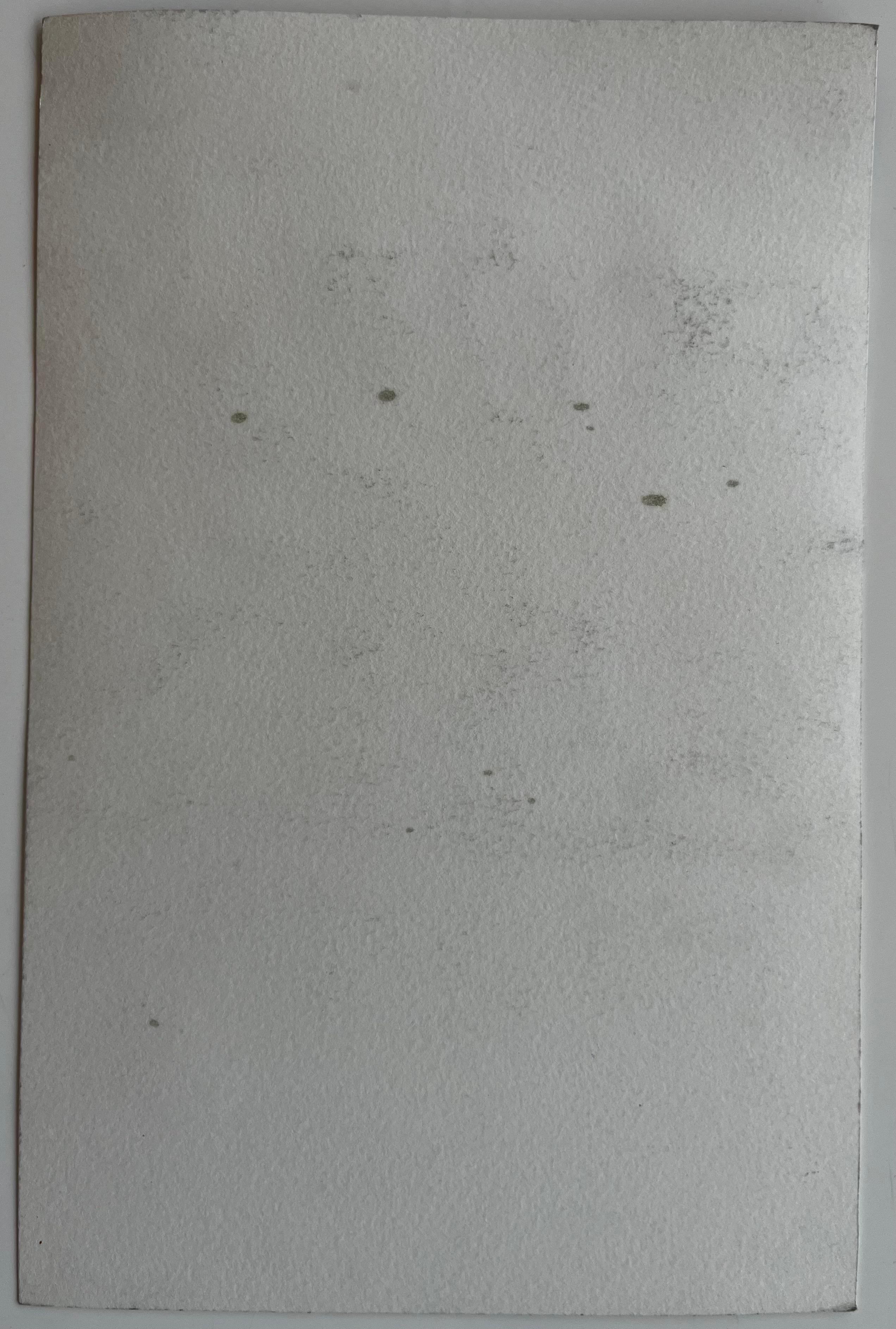 Scena di mercato francese Bancarelle di frutta e figure e tende colorate Acquerello in vendita 3