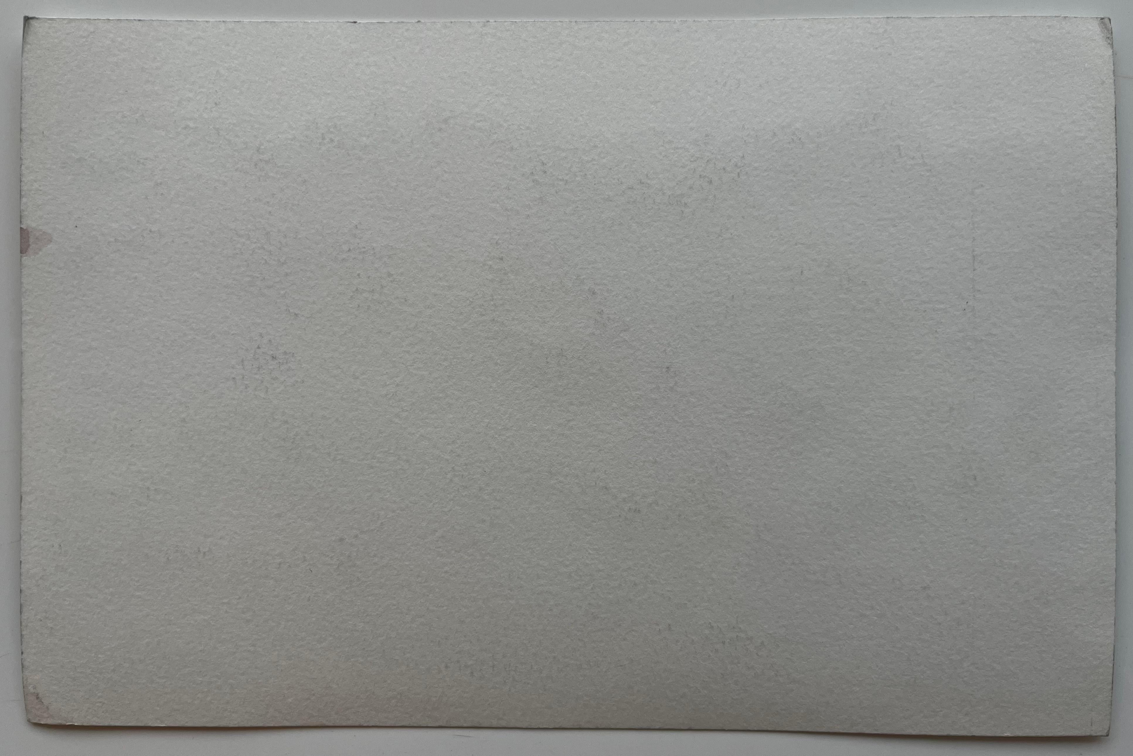 Les Dentelles Paisaje provenzal Colinas ondulantes Viñedos y montañas en venta 3