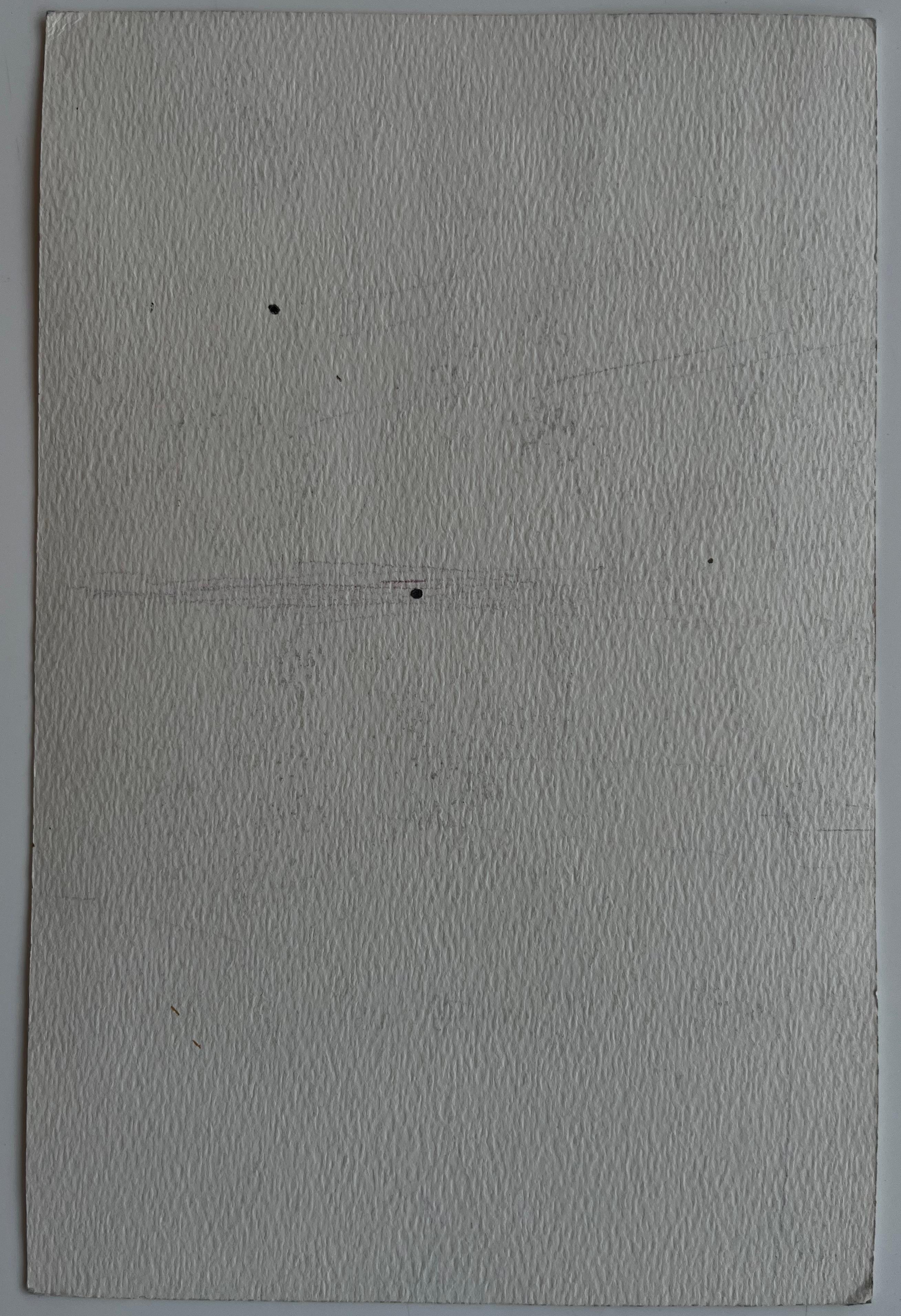 Via del villaggio francese Case colorate Sentiero acciottolato e persiane blu Acquerello in vendita 3