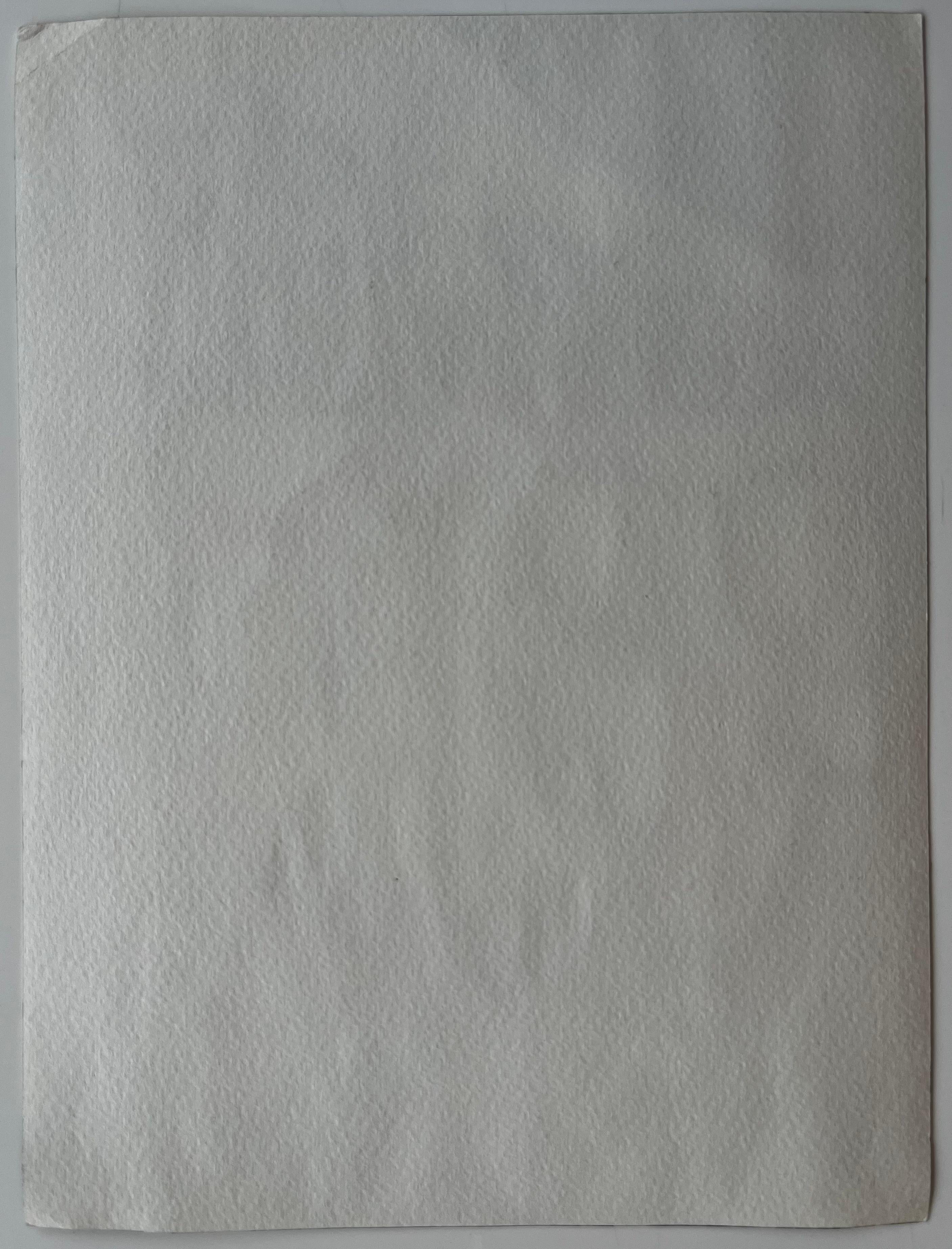 Französisches Straßencafé Farbenfrohe Fassaden Sonnenterrasse und Marktschirme im Angebot 3