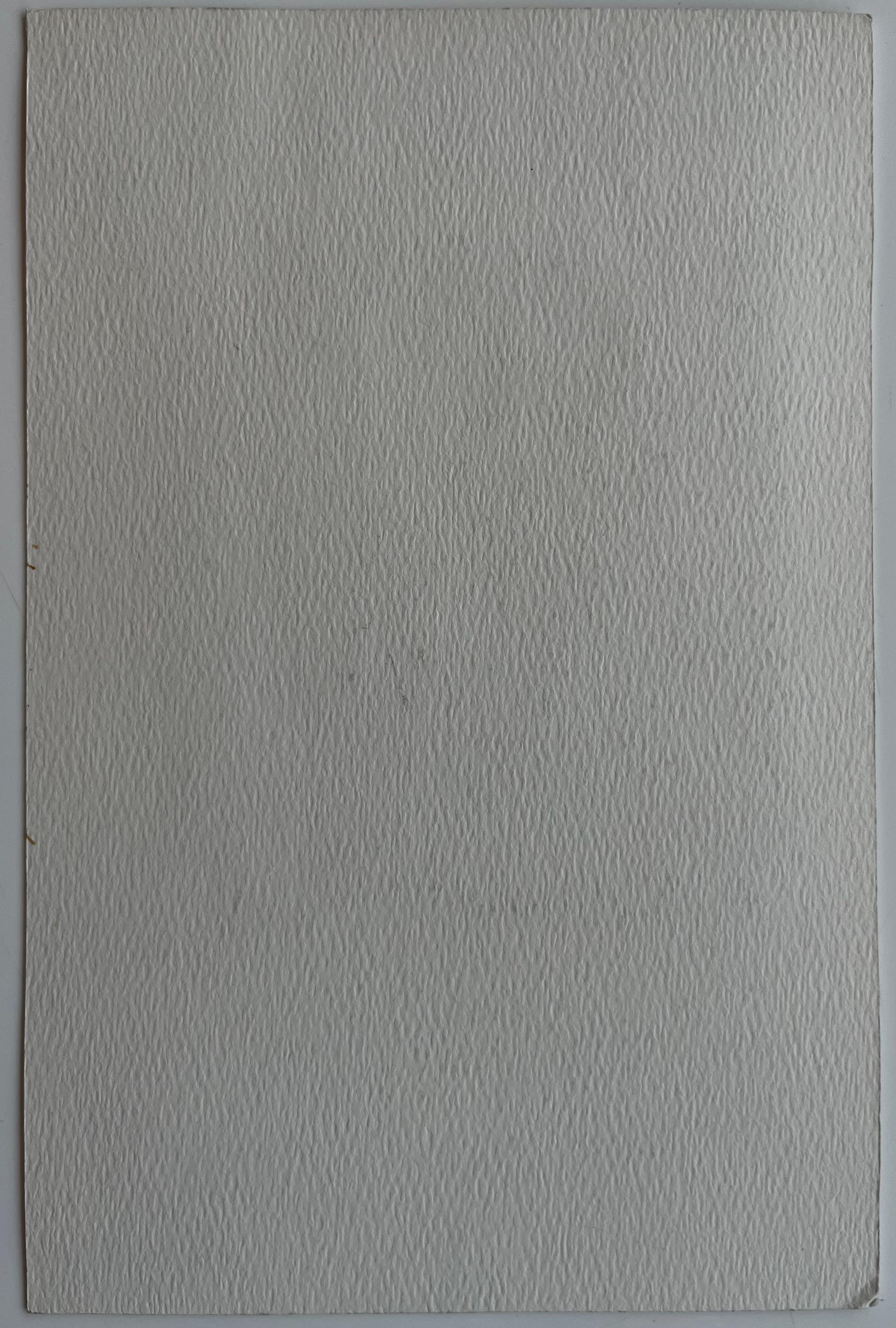 Arco del villaggio francese Cortile illuminato dal sole Porta di legno e muri di pietra Acquerello in vendita 3