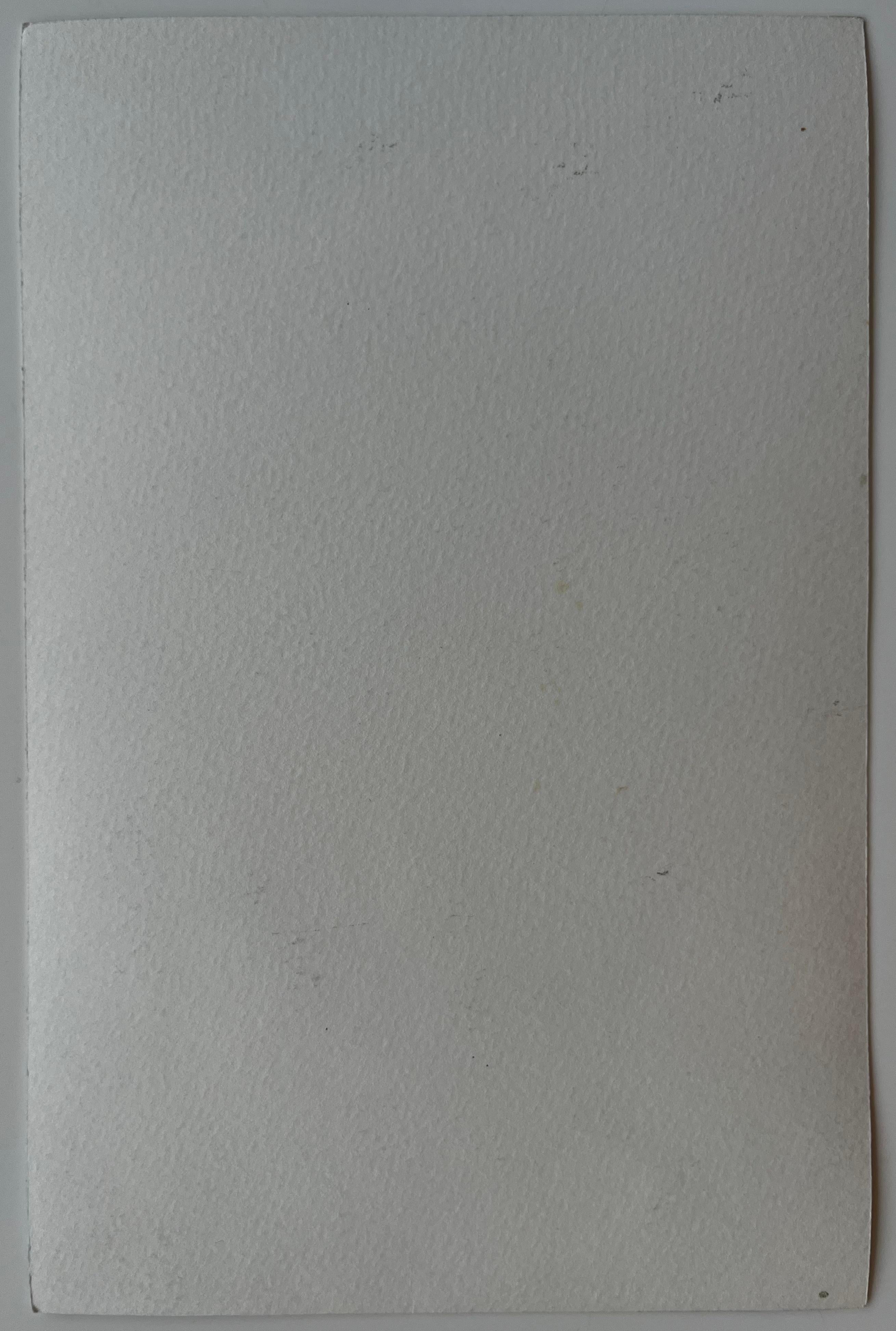 Chemin du village perché français Maisons ensoleillées Toits en terre cuite et ciel bleu en vente 3