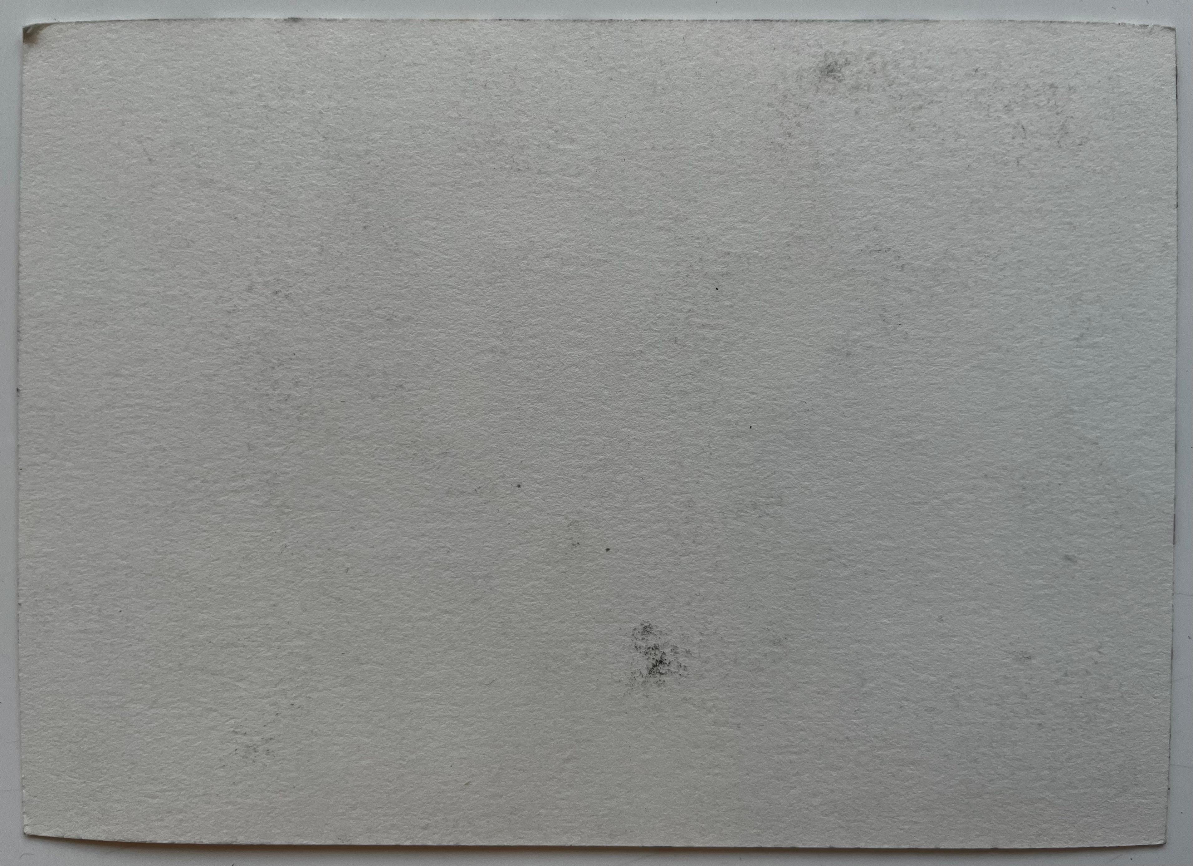 Répétition de l'orchestre avec le chef et les musiciens Ensemble de musique classique en vente 3