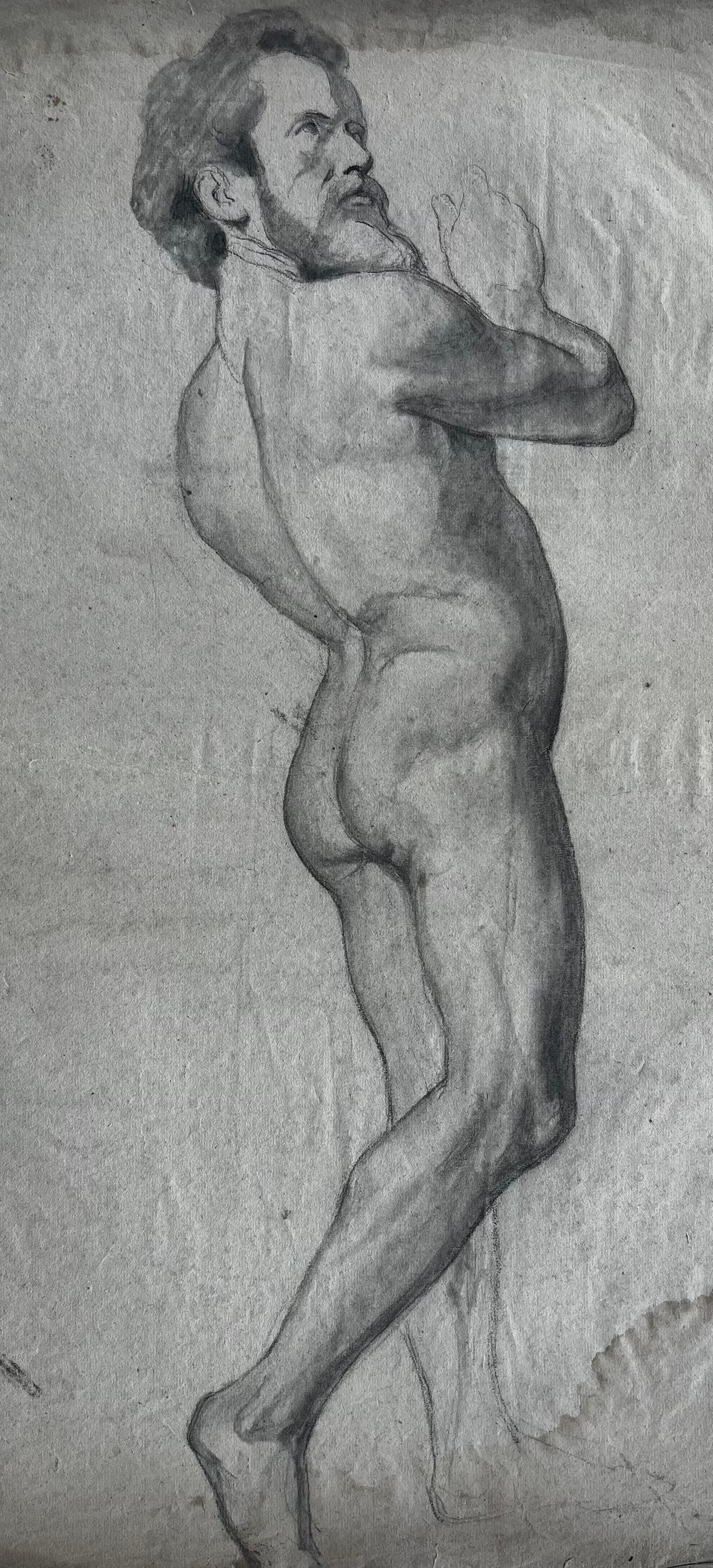 Mid Century French School Male Nude Figure Life Study Charcoal Drawing