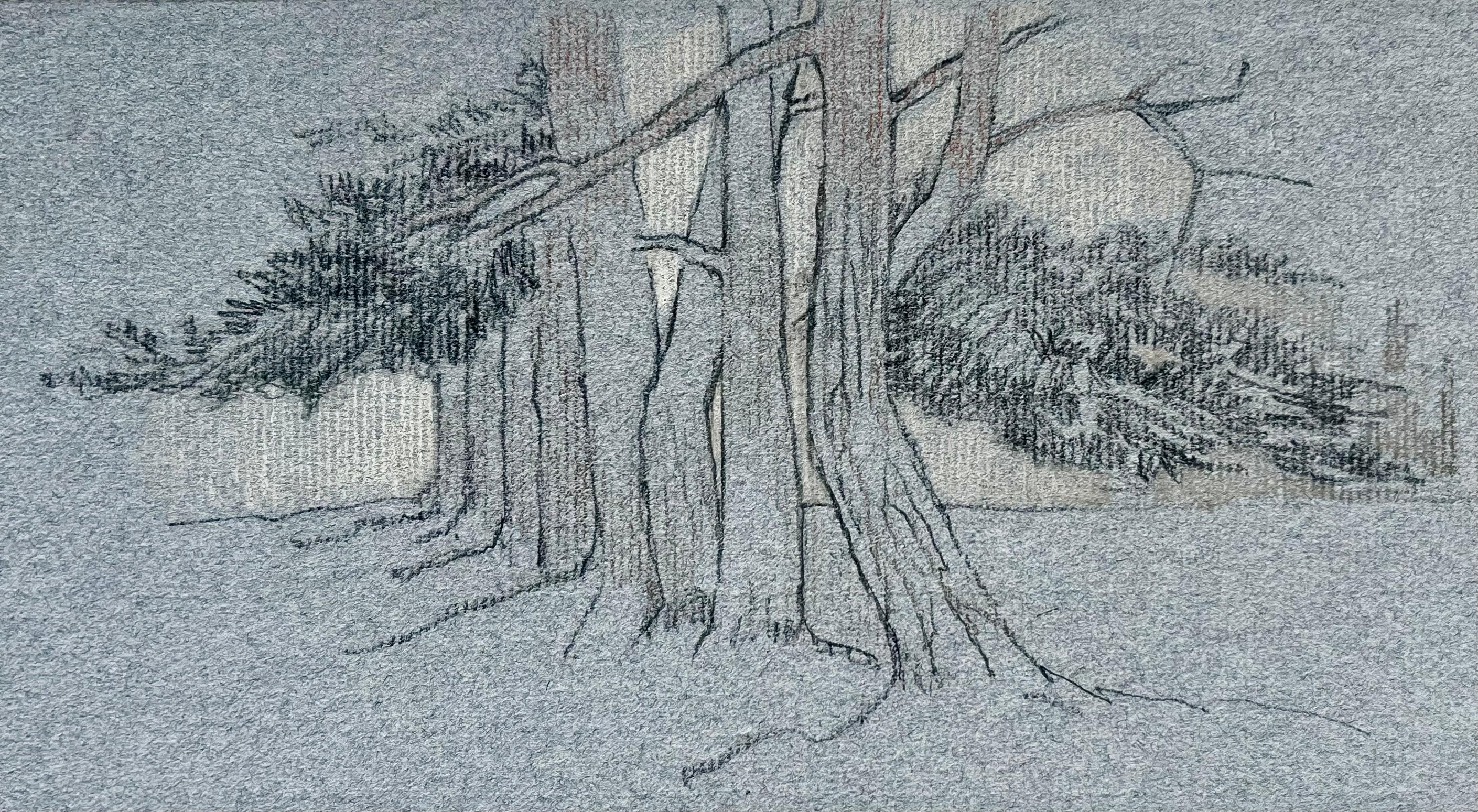 French Woodland Trees Pencil Drawing Landscape Study Mid Century