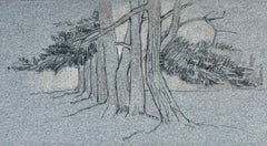 French Woodland Trees Pencil Drawing Landscape Study Mid Century
