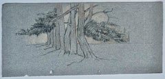 French Woodland Trees Pencil Drawing Landscape Study Mid Century
