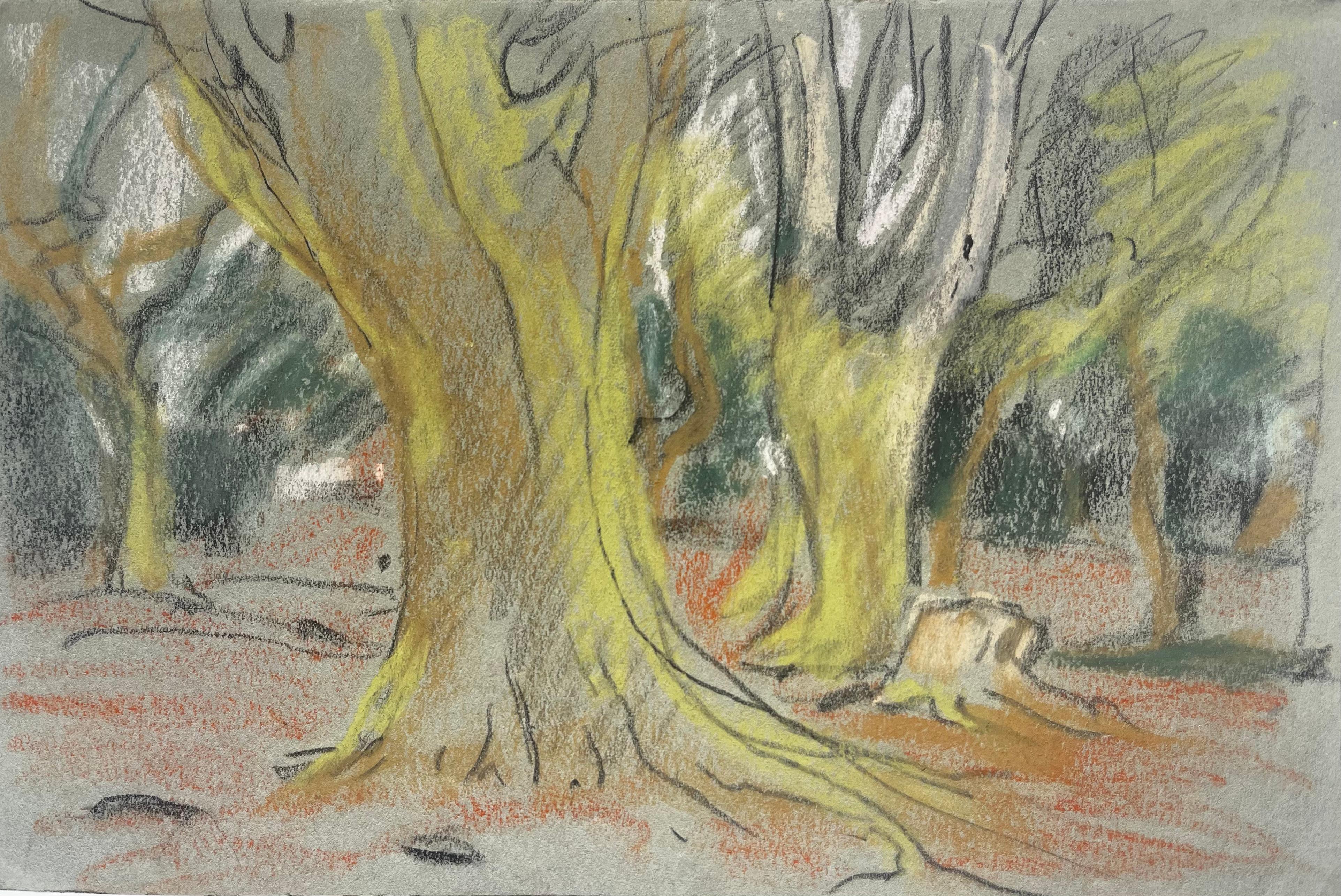 Woodland Trees Forest Landscape Pastel Chalk Drawing on Grey Paper