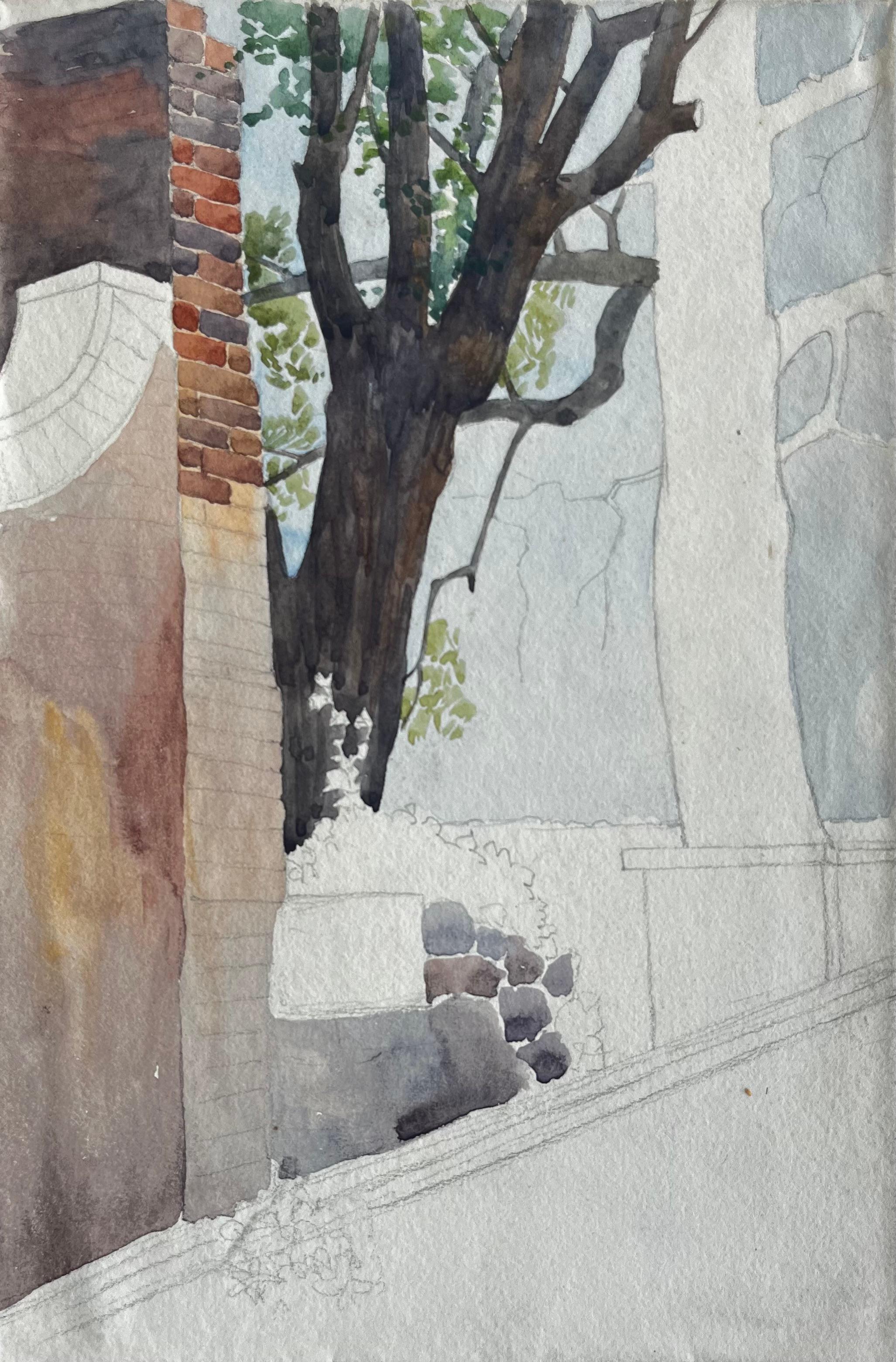 Architectural Courtyard Tree Brick Wall Watercolour Study on Paper