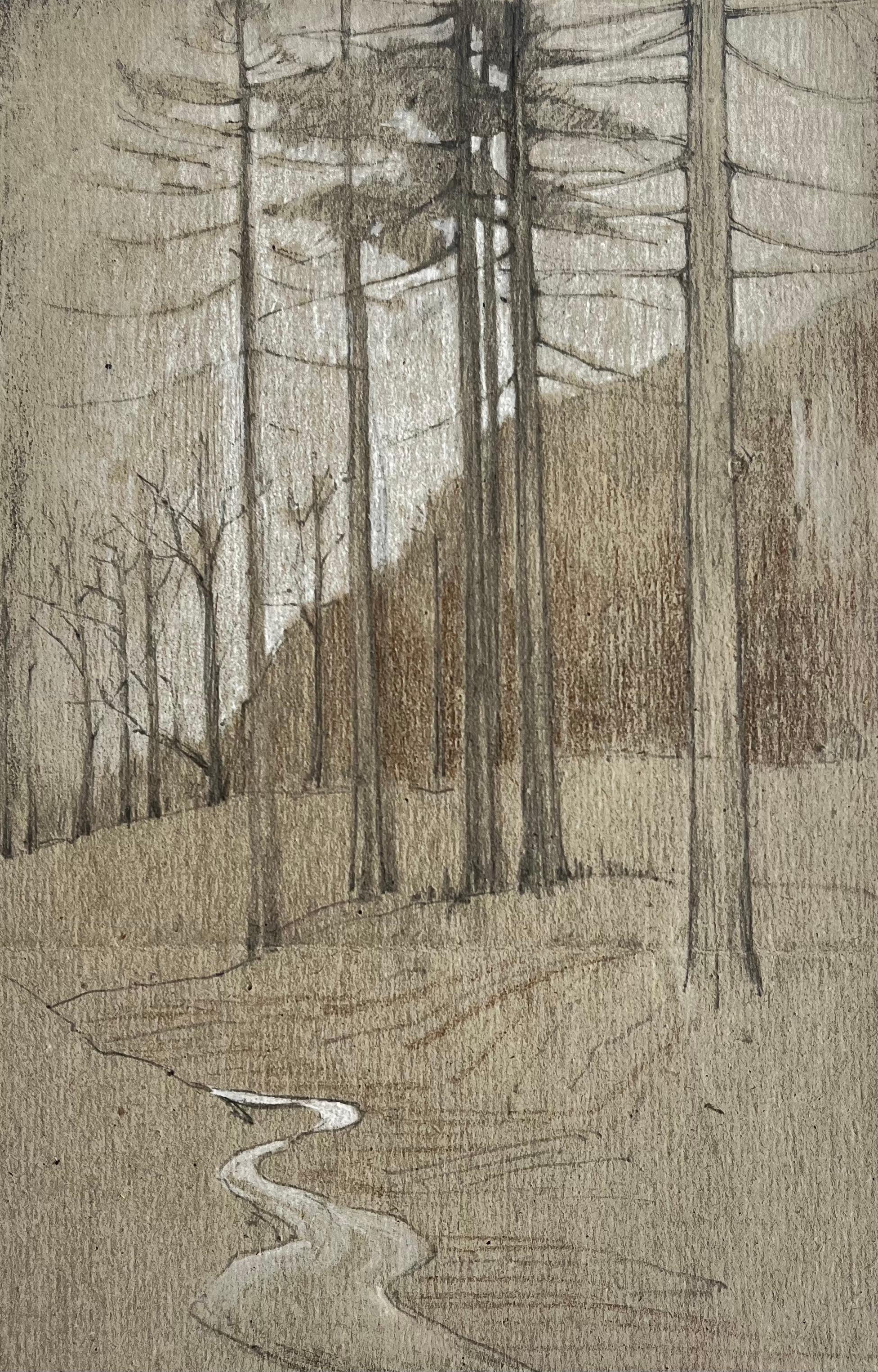 Forest Trees Woodland Path Charcoal Chalk Drawing on Paper