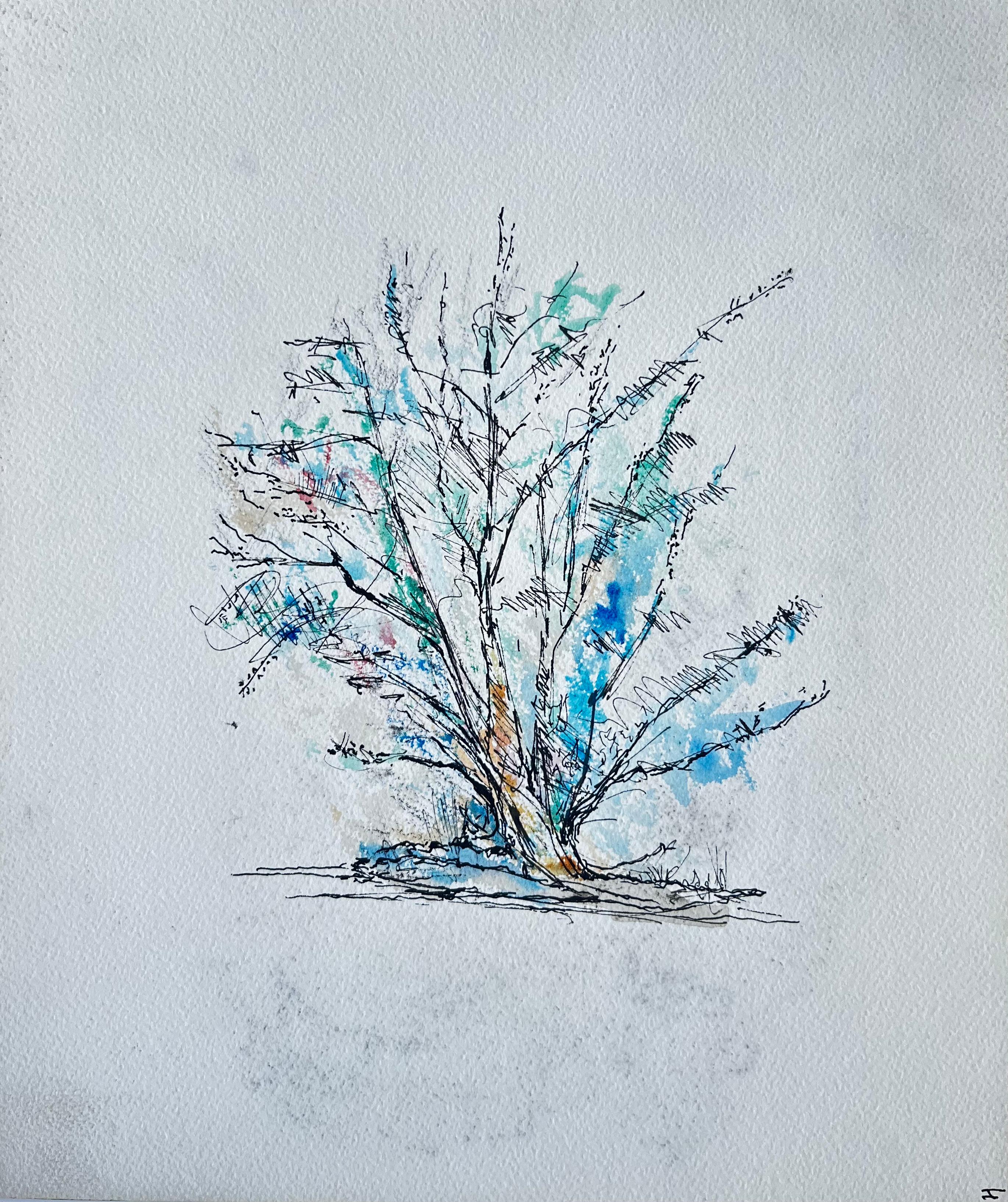 Abstract Tree Study Ink Watercolour Blue Botanical Modernist Drawing