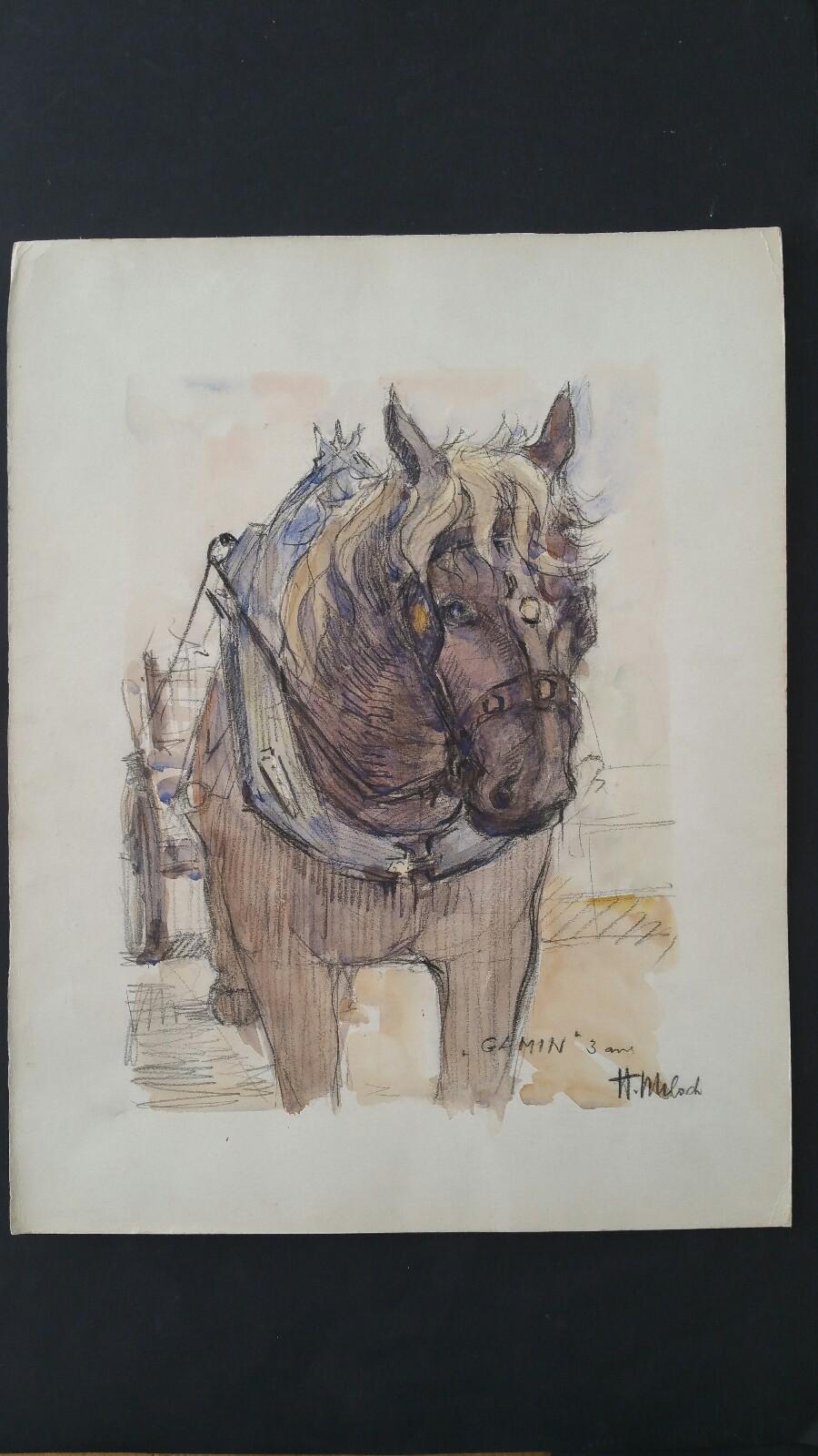 Ecole de Paris Mid 20th Century Equine Carthorse Portrait  - Painting by Henri Miloch