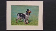 English School 20th Century Oil Painting (1930s) of a Cocker Spaniel Dog