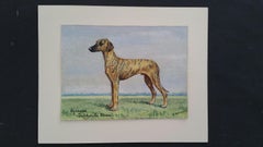 Peinture à l'huile de l'English School du 20e siècle représentant un chien champion de Sloughi