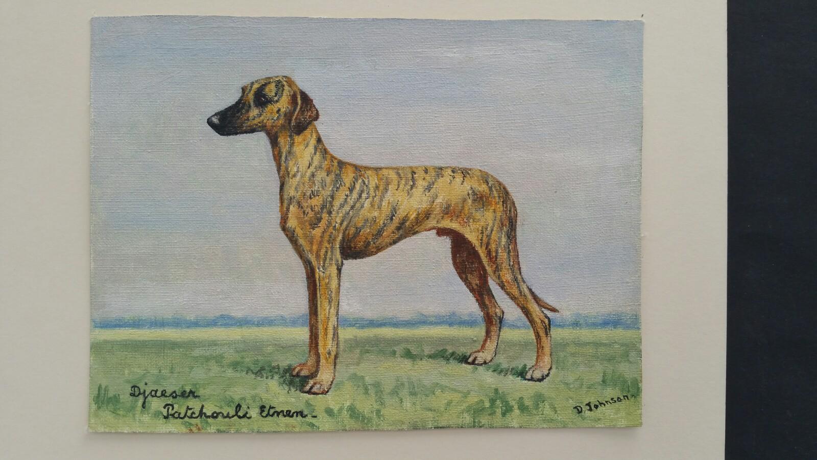 sloughi dog for sale