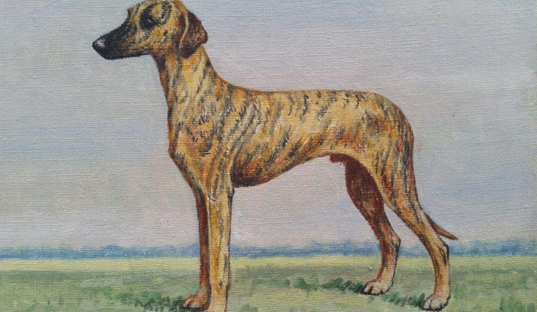 Dorothy Alexandra Johnson - English School 20th Century Oil Painting of a  Champion Sloughi Dog For Sale at 1stDibs