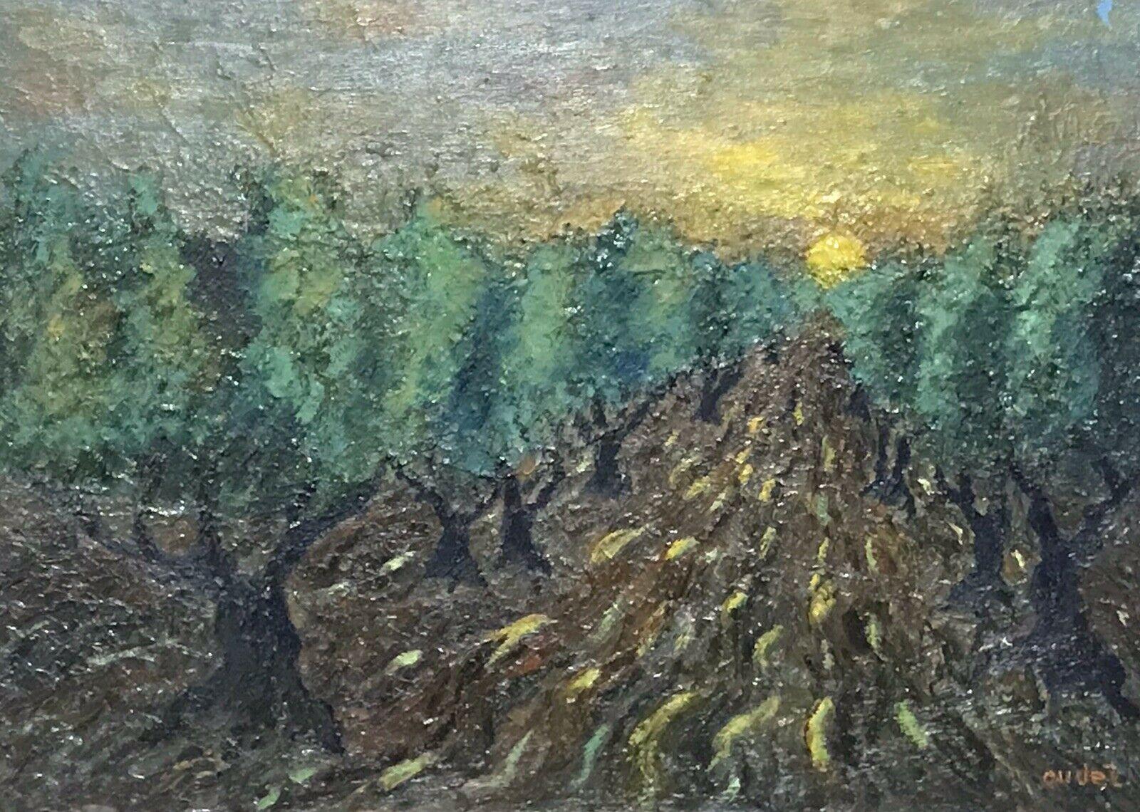 Fernand Audet Abstract Painting - FERNAND AUDET (1923-2016) SIGNED FRENCH POST-IMPRESSIONIST OIL - OLIVE TREES