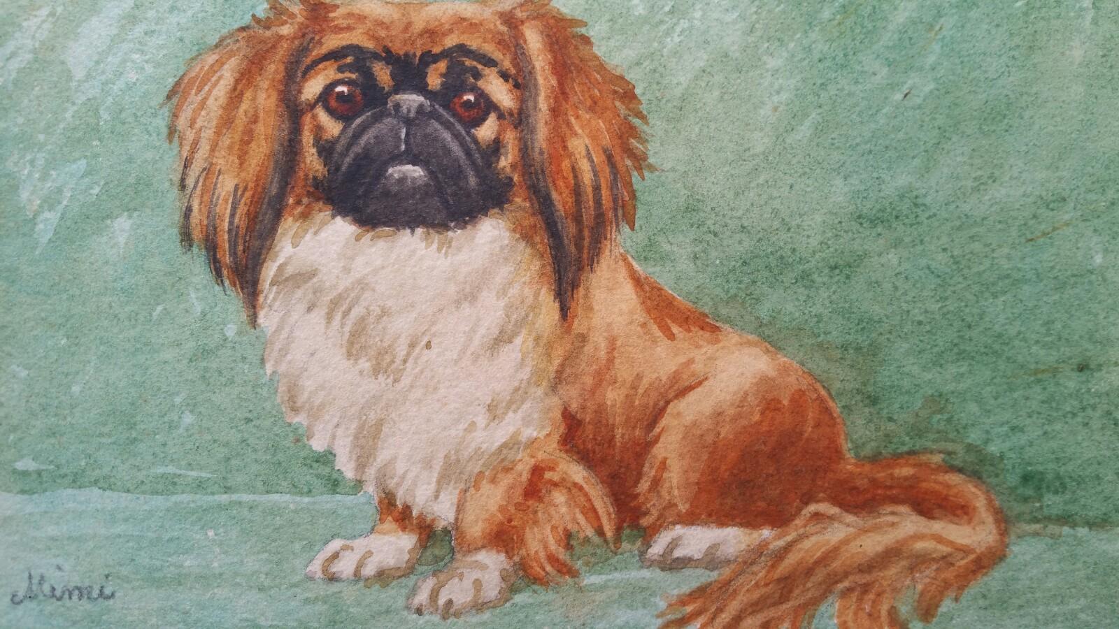 Animal Painting Dorothy Alexandra Johnson - École anglaise du 20e siècle - Chien pékinois "Mimi"