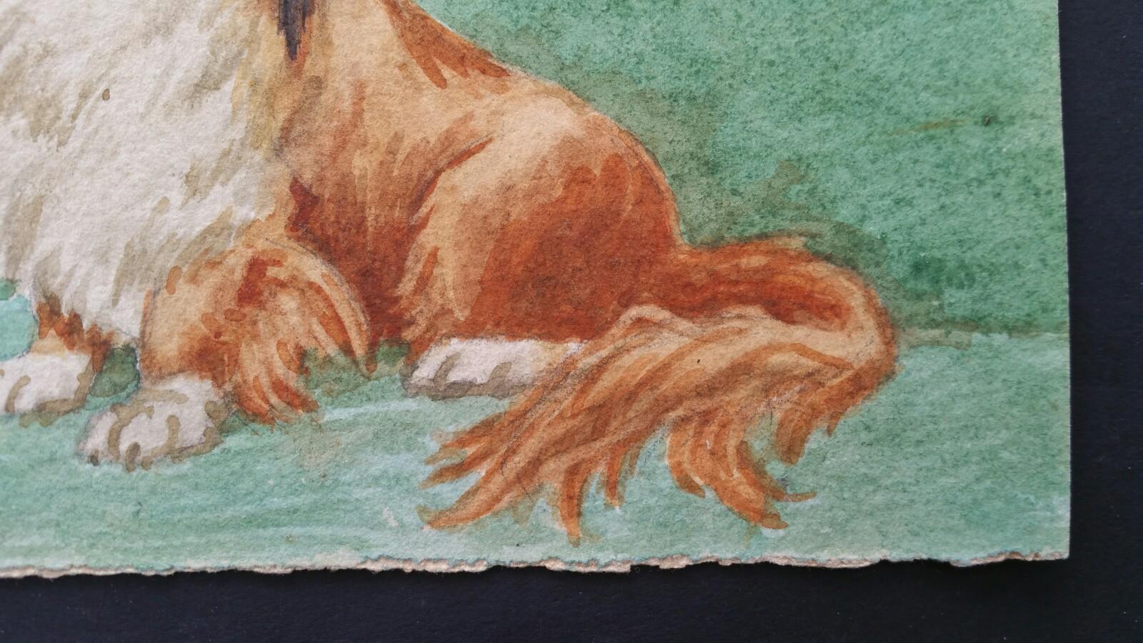 Chinesischer Pekinger Hund „Mimi“, Englische Schule des 20. Jahrhunderts (Grau), Animal Painting, von Dorothy Alexandra Johnson