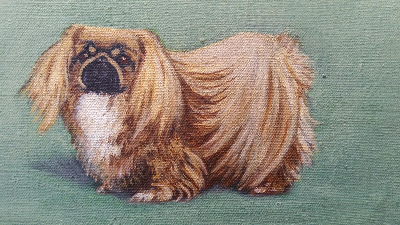 Animal Painting Dorothy Alexandra Johnson - Peinture à l'huile de l'école anglaise du milieu du 20e siècle : chien pékinois