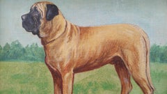 English School Mid 20th Century Oil Painting Mastiff Broomcourt Romeo Dog