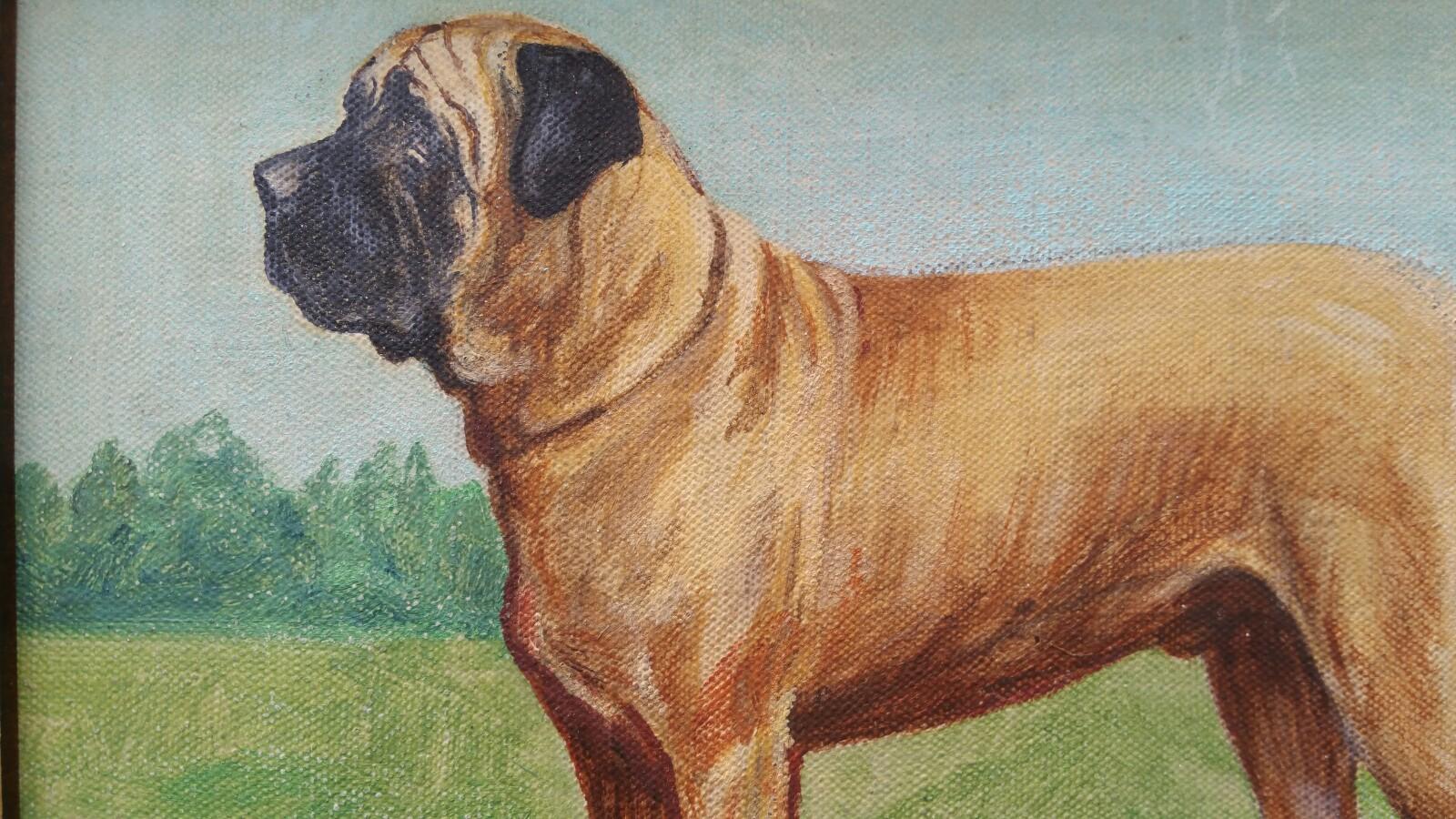 English School Mid 20th Century Oil Painting Mastiff Broomcourt Romeo Dog For Sale 1