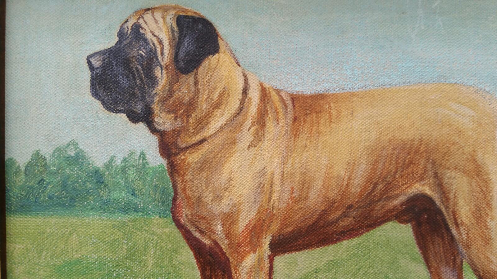 English School Mediados Siglo XX Óleo Mastín Broomcourt Romeo Perro en venta 2