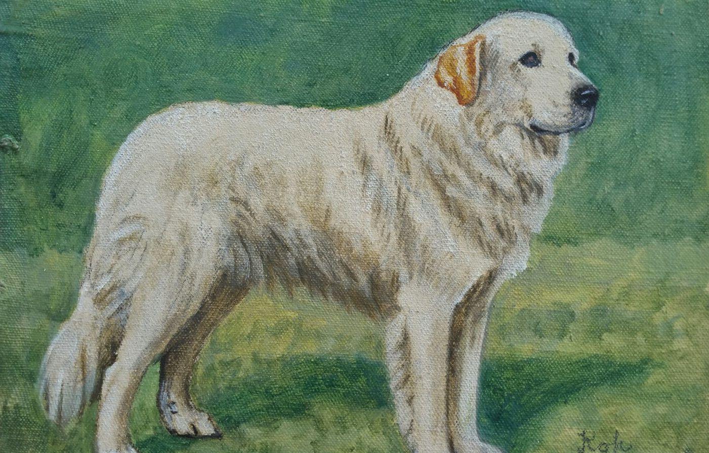 PYRENEAN MOUNTAIN DOG THREE NAMED DOGS OLD 1930/'S PRINT MOUNTED READY TO FRAME
