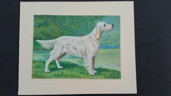 English School Mid 20th Century Oil Painting English Setter Dog Painting