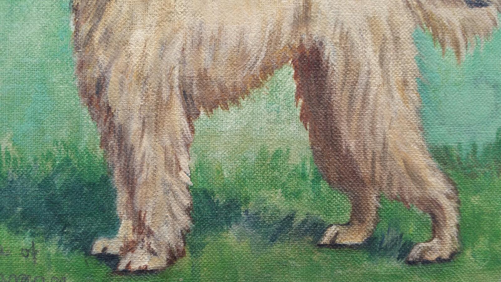 afghan hound art
