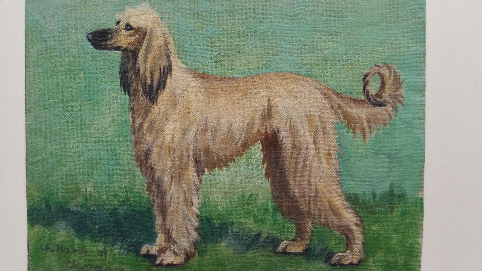 English School Mid 20th Century Oil Painting Afghan Hound Dog Painting - Gray Animal Painting by Dorothy Alexandra Johnson