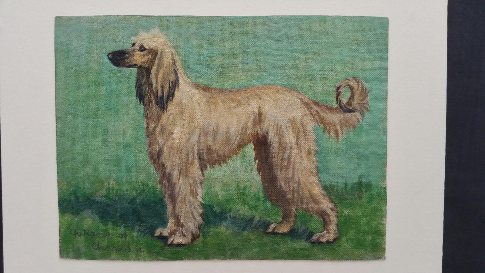 English School Mid 20th Century Oil Painting Afghan Hound Dog Painting 1