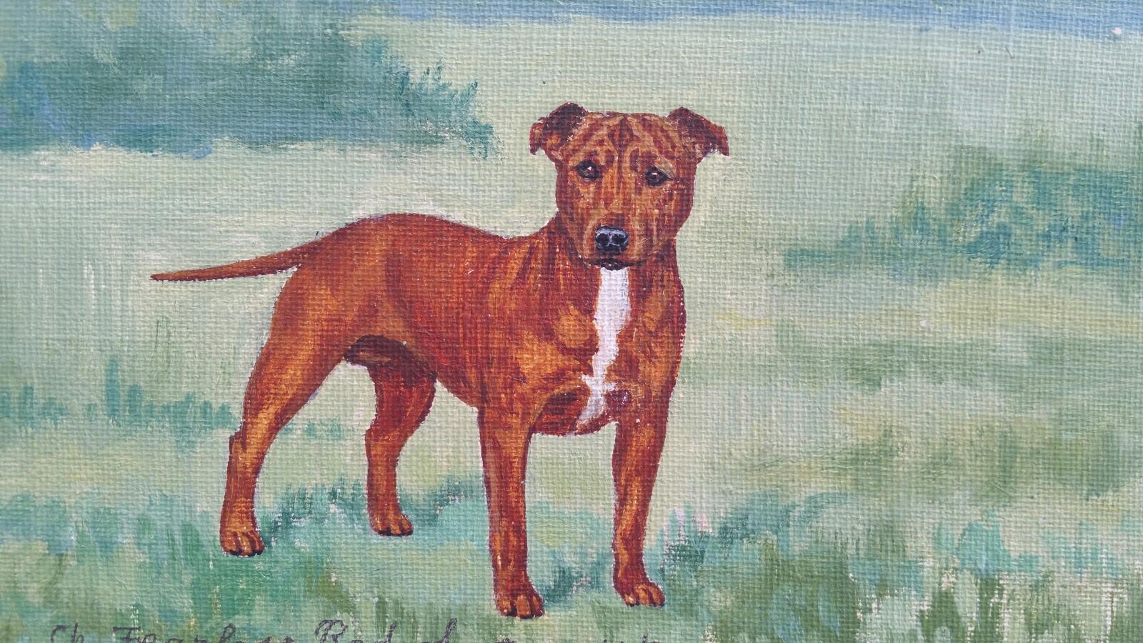 Dorothy Alexandra Johnson Animal Painting - English School Mid 20th Century Oil Painting Staffordshire Bull Terrier Dog 