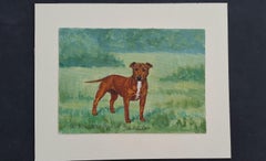 English School Mid 20th Century Oil Painting Staffordshire Bull Terrier Dog