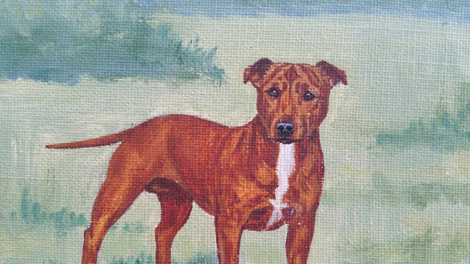 English School Mid 20th Century Oil Painting Staffordshire Bull Terrier Dog  For Sale 1