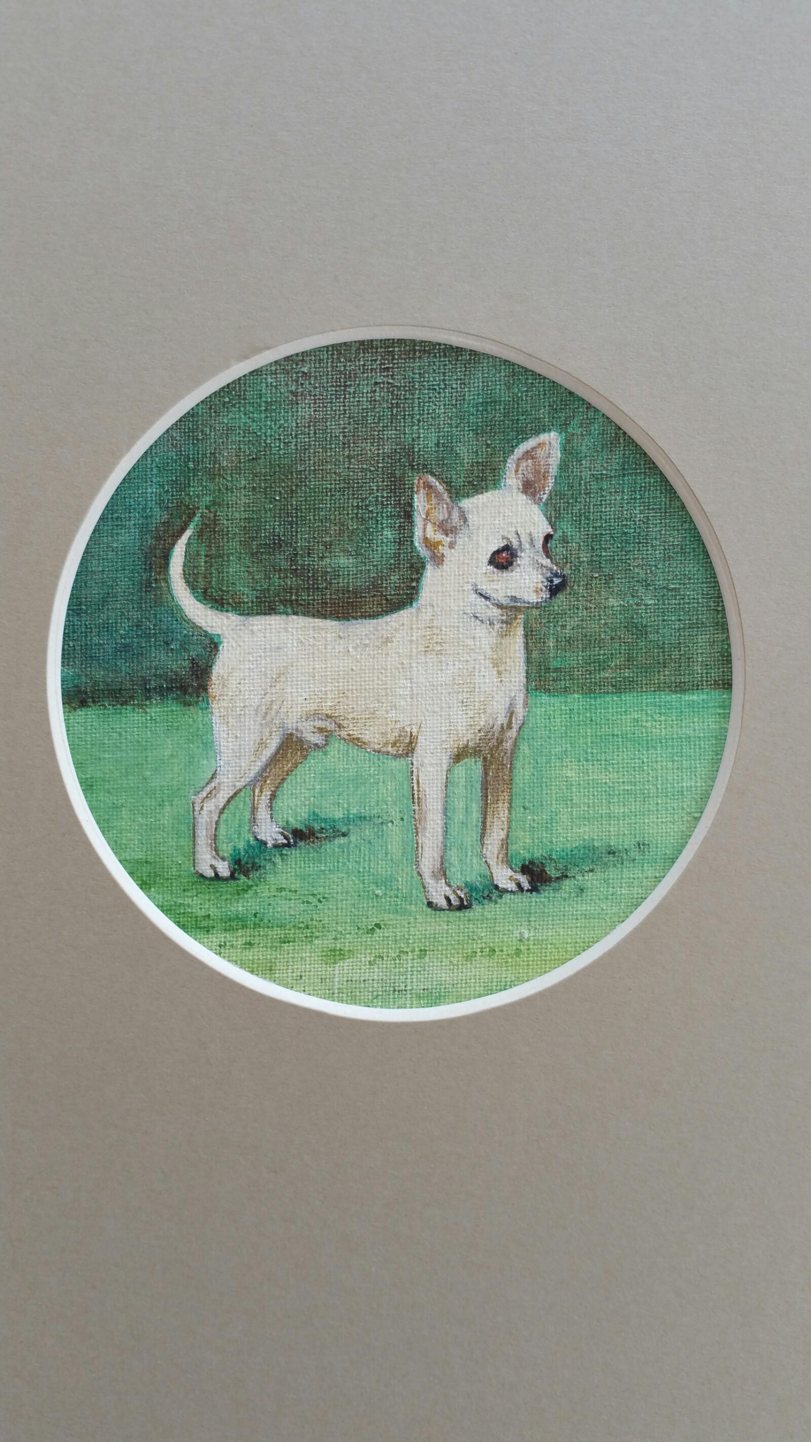 Dorothy Alexandra Johnson Animal Painting - English School Mid 20th Century Oil Painting Chihuahua Dog Painting