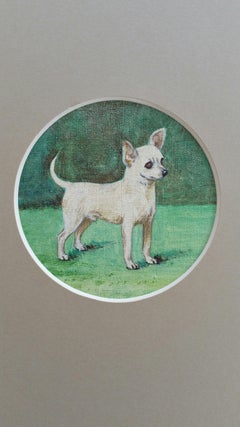 Vintage English School Mid 20th Century Oil Painting Chihuahua Dog Painting