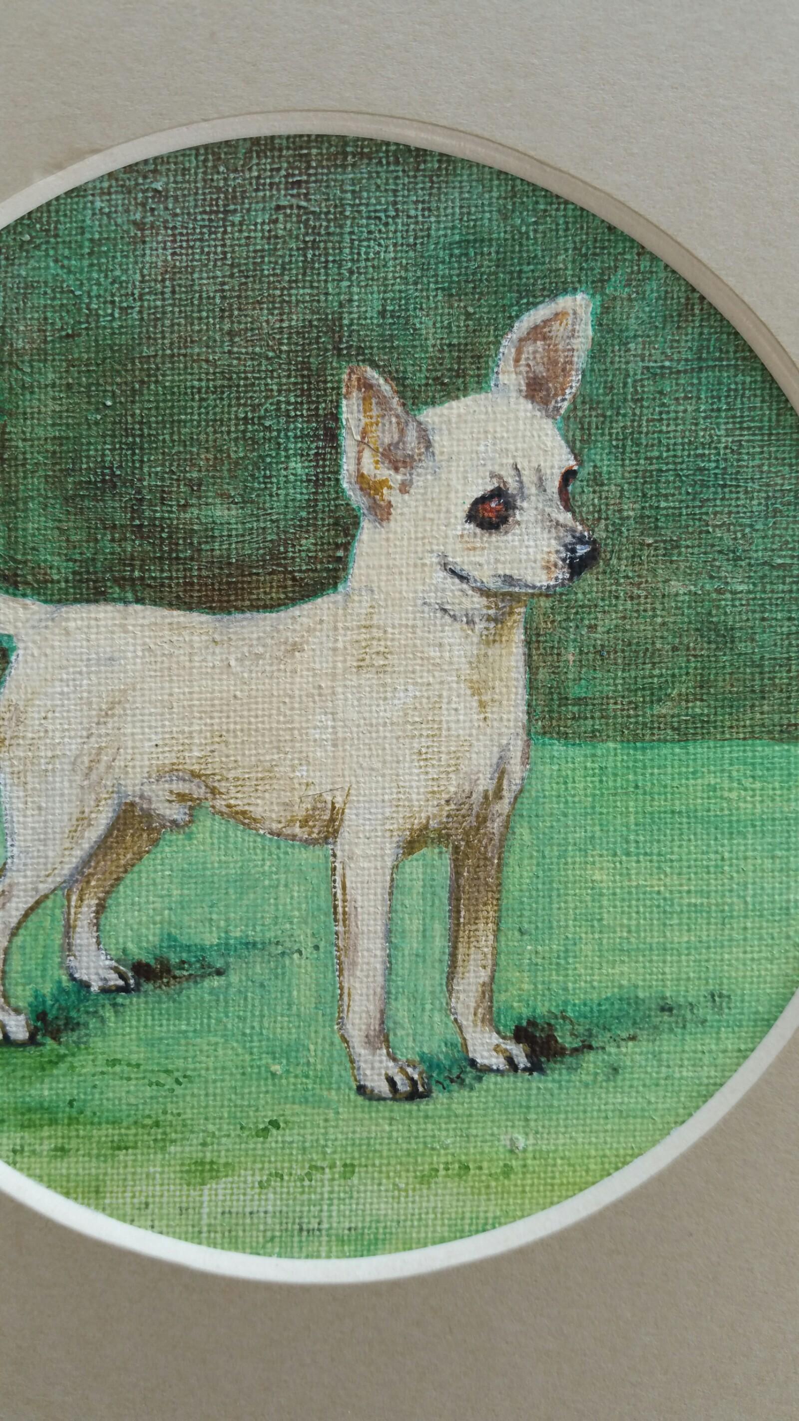 chihuahua oil painting