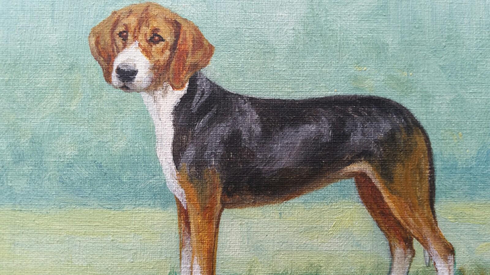 English School Mid 20th Century Oil Painting: Hamiltonstovare Hound Dog - Gray Animal Painting by Dorothy Alexandra Johnson