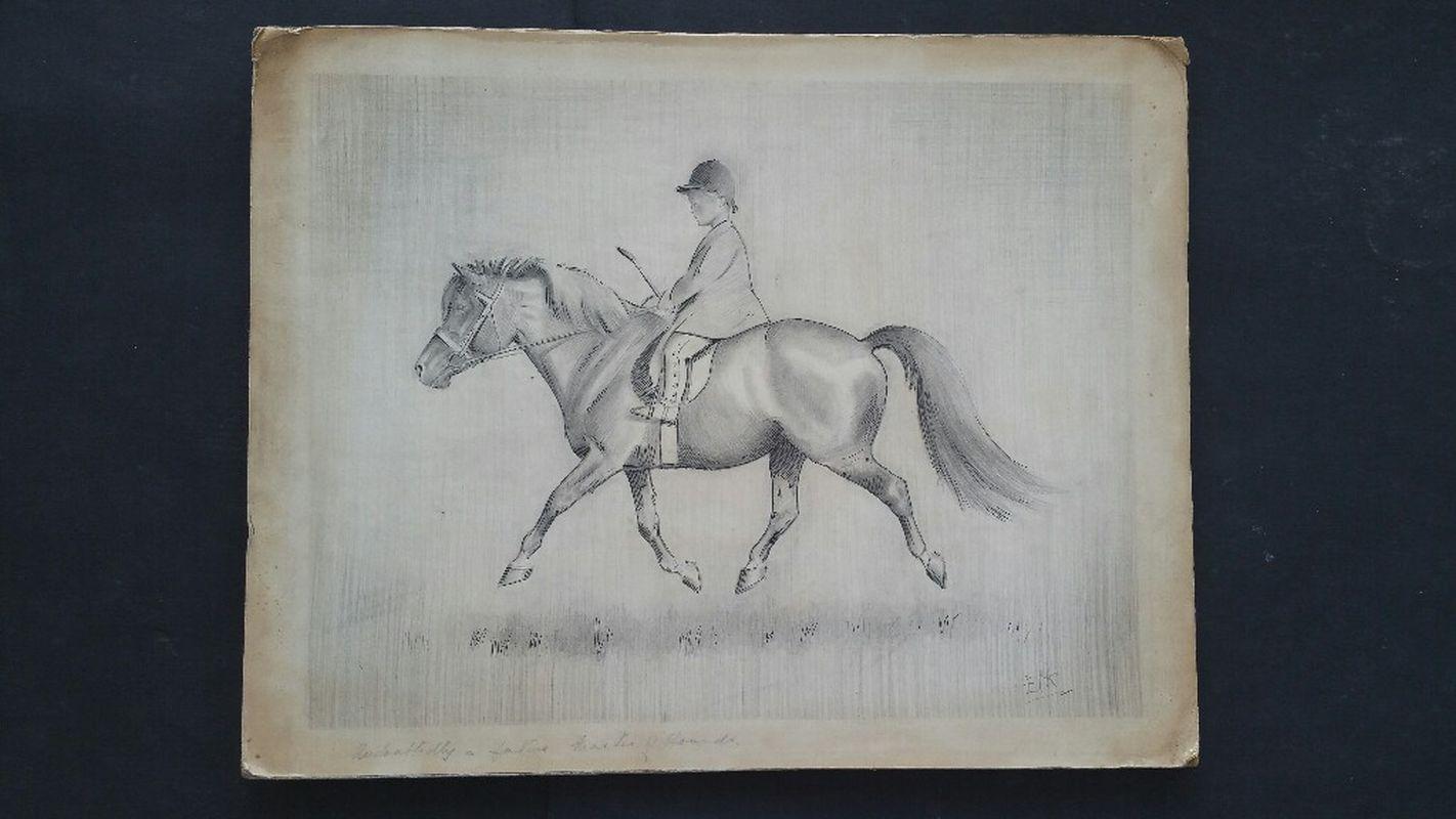 equestrian/sporting artist