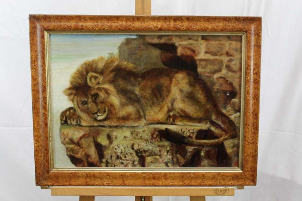 Victorian Oil - the Sleeping Lion - Fine Portrait of a Resting Lion - Painting by Victorian School