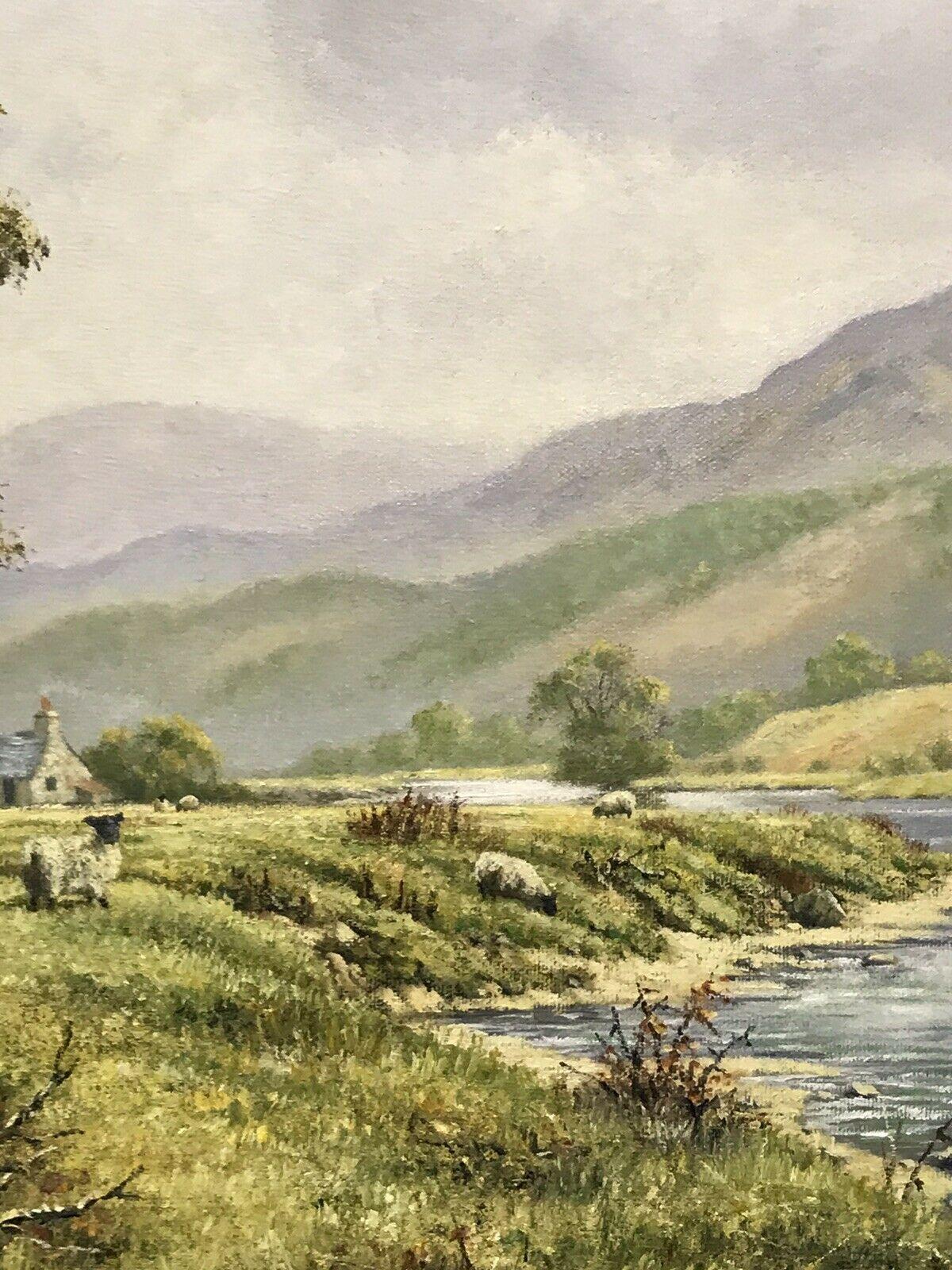 LARGE SCOTTISH RIVER LANDSCAPE SIGNED OIL - SHEEP GRAZING PASTORAL RIVER BANK 1