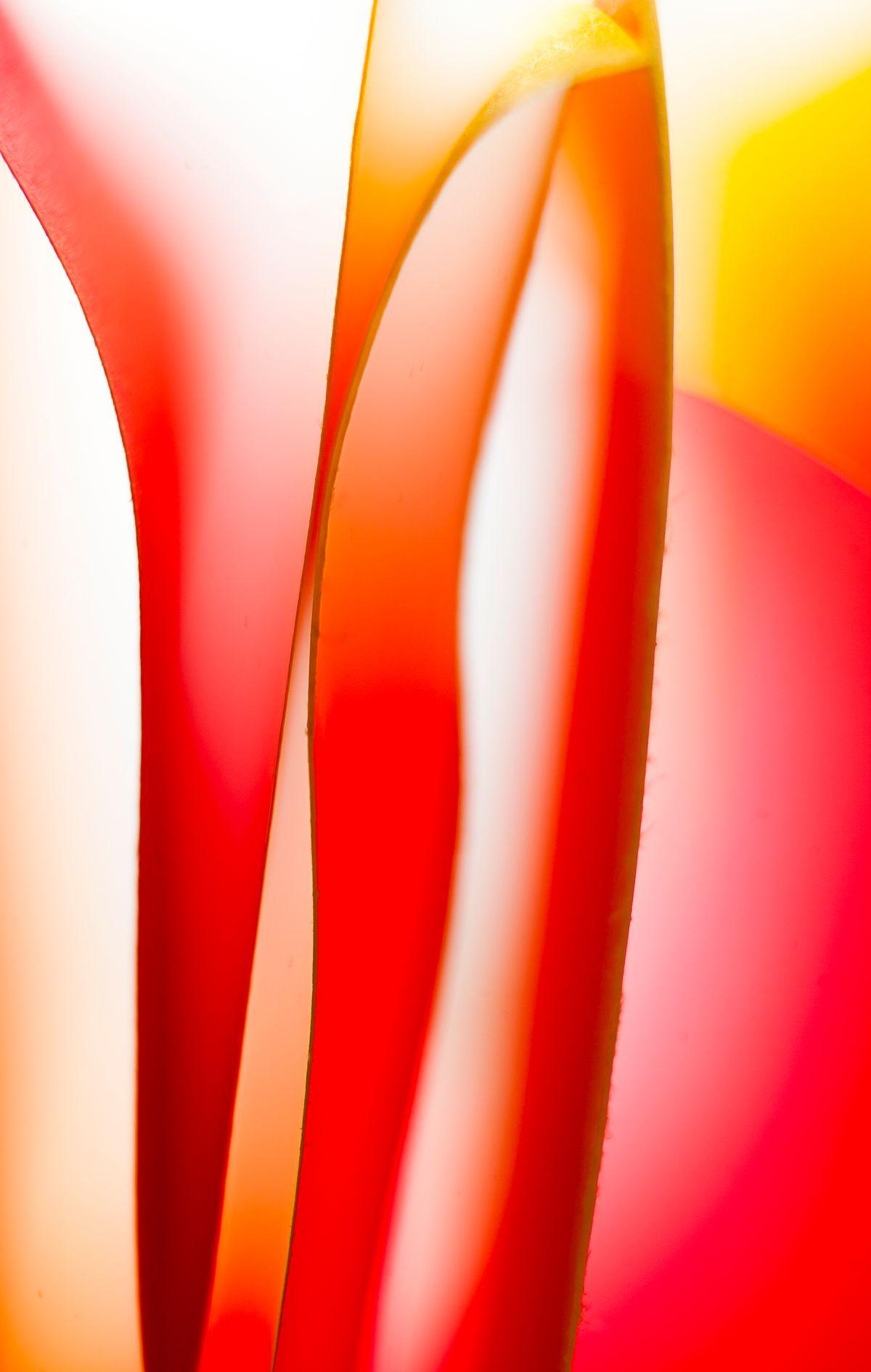 Summer Flute - Abstract Contemporary Photograph - Giclee on Fine Art Paper