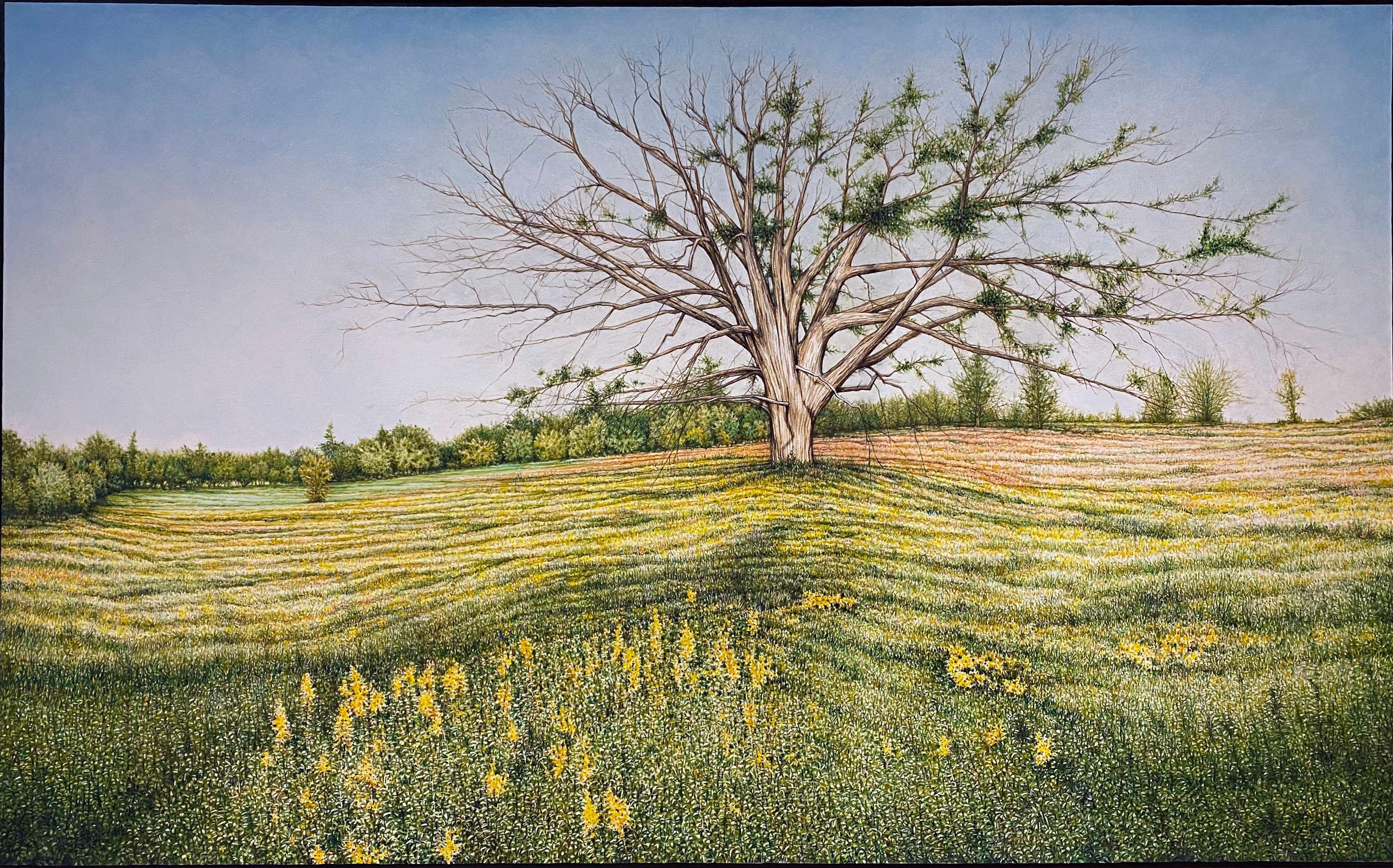 Yale Factor Landscape Painting - TURN TURN TURN