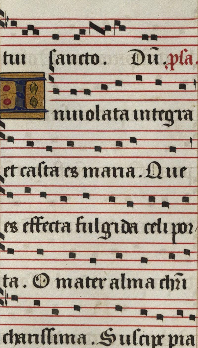 Unknown The Lord's Prayer in Latin, Adveniat Regnum Tuum at 1stDibs