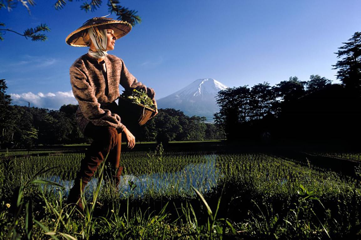 Fred Maroon Landscape Print - Japan: Rice Field in Oshino Village, near Mt. Fuji 